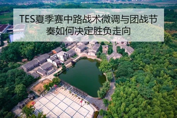 TES夏季赛中路战术微调与团战节奏如何决定胜负走向